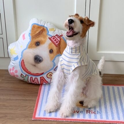 Custom Pet 3D Pillow, Pet Shaped Pillow Large, Double-sided Print, Mother's Day Gift, Pet Pass Away Gift, Memorial Gift Valentine's Day Gift