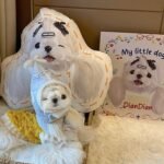 Custom Pet 3D Pillow, Pet Shaped Pillow Large, Double-sided Print, Mother's Day Gift, Pet Pass Away Gift, Memorial Gift Valentine's Day Gift - Image 2