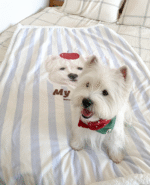 Custom Pet Cashmere Blanket – Personalized Photo Blanket for Dogs & Cats - Image 2